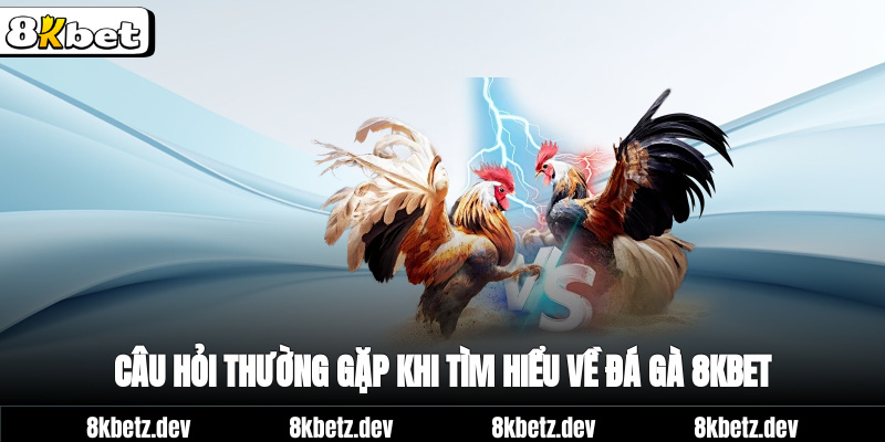 Câu hỏi thường gặp khi tìm hiểu về Đá Gà 8Kbet