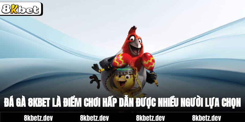 Đá Gà 8Kbet là điểm chơi hấp dẫn được nhiều người lựa chọn