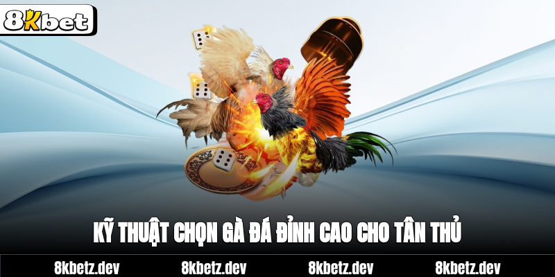 Kỹ thuật chọn gà đá đỉnh cao cho tân thủ