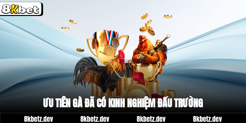 Ưu tiên gà đã có kinh nghiệm đấu trường